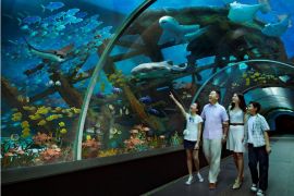 Du lịch Singapore - Ngắm thế giới đại dương kỳ thú ở S.E.A. Aquarium Singapore